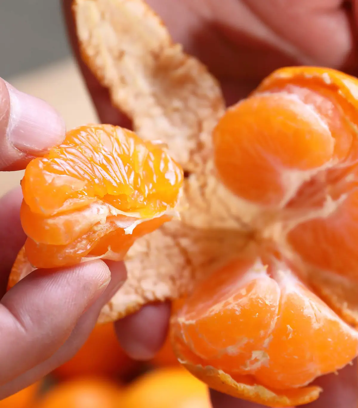 樹上熟成 灯みかん