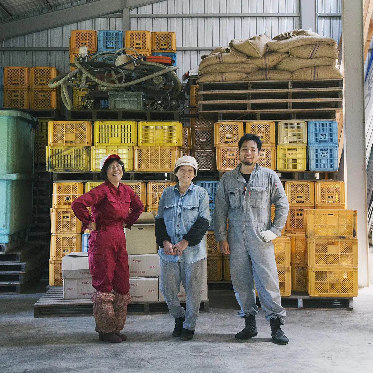 樹上熟成 灯みかん