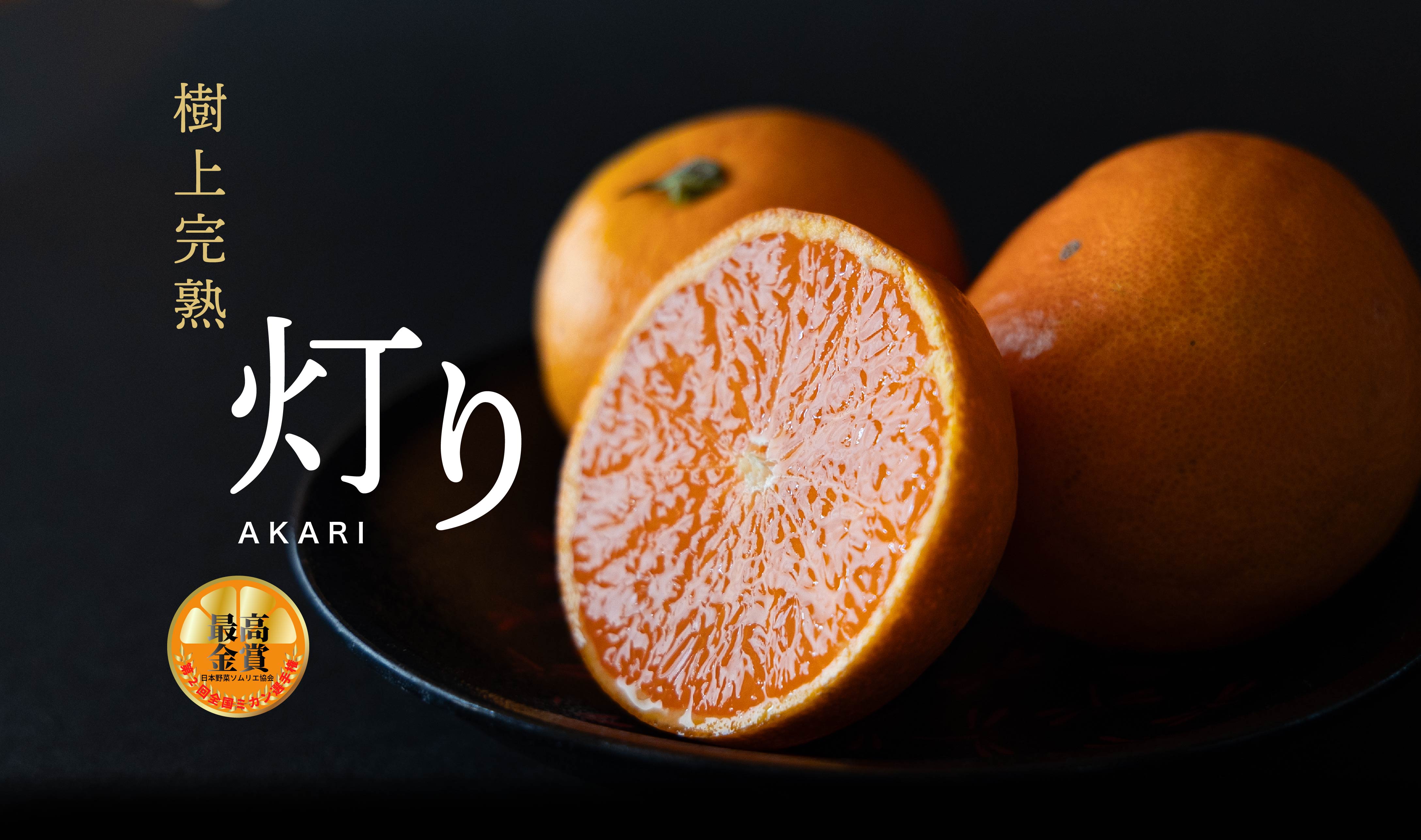 樹上熟成 灯みかん