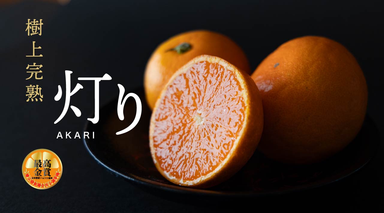樹上熟成 灯みかん