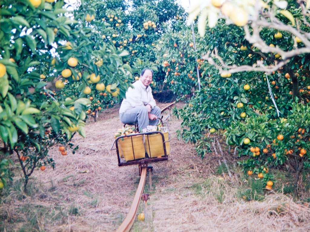 みかん農家をはじめたのは進也さんのお祖父さんに当たる勝（まさる）さん