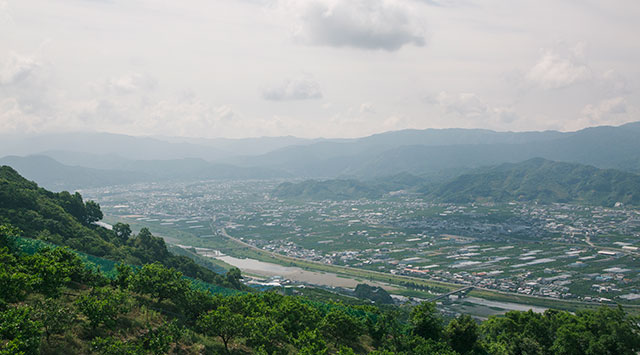 みかんの町、和歌山県有田郡有田川町